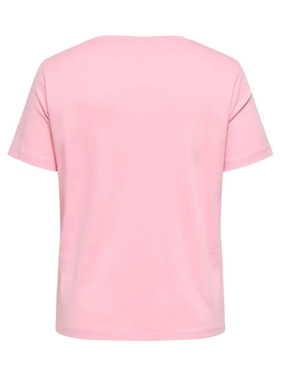 CARJEN Top
