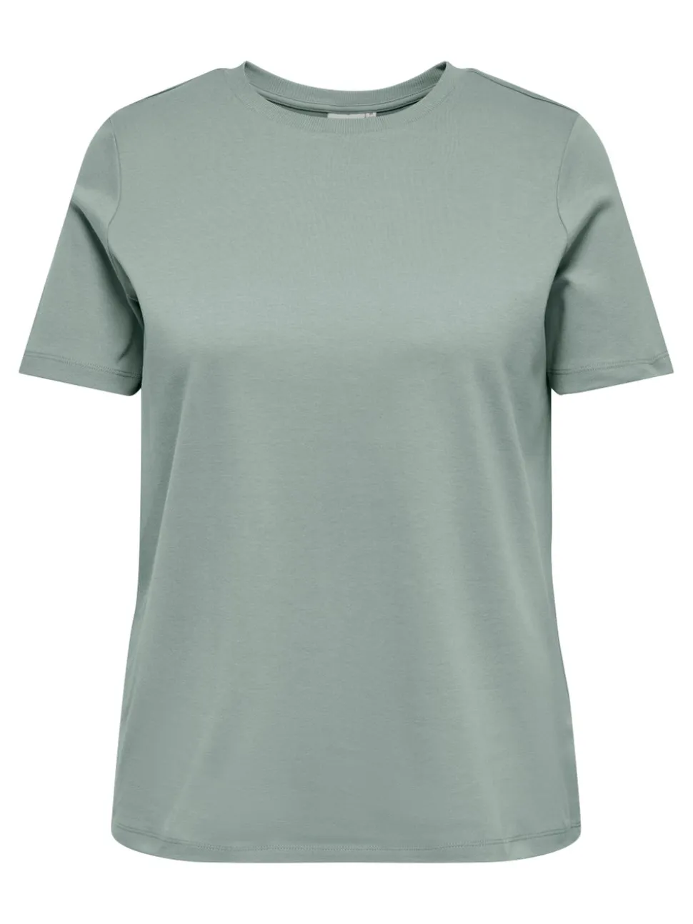 CARJEN Top