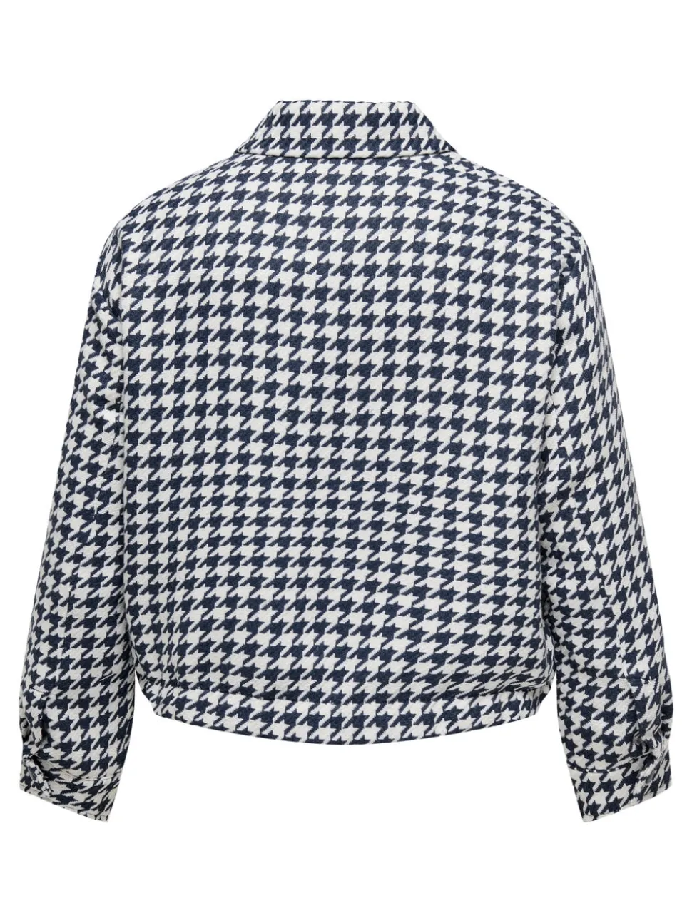 CARKIMMIE Giubbotto bomber