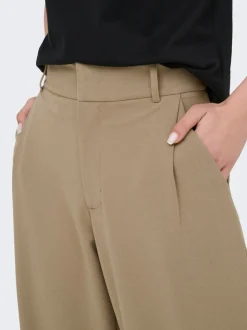 JDYGEGGO Regular Fit Pantaloni