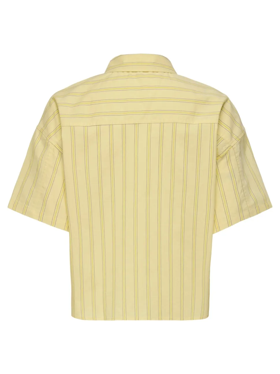 JDYMIO Camicia