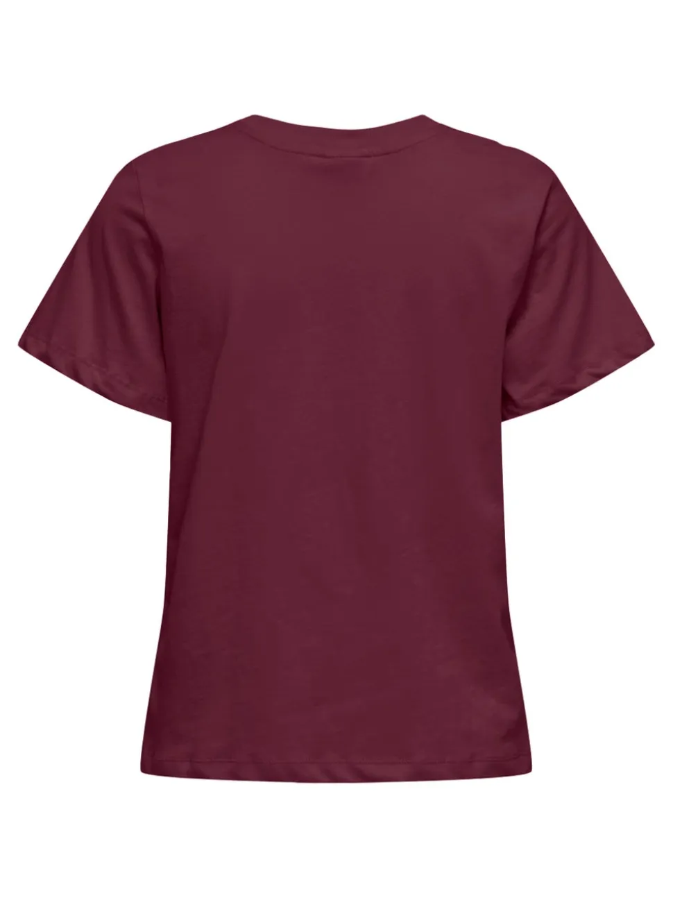 JDYPISA T-shirt
