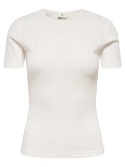 JDYSALSA Top