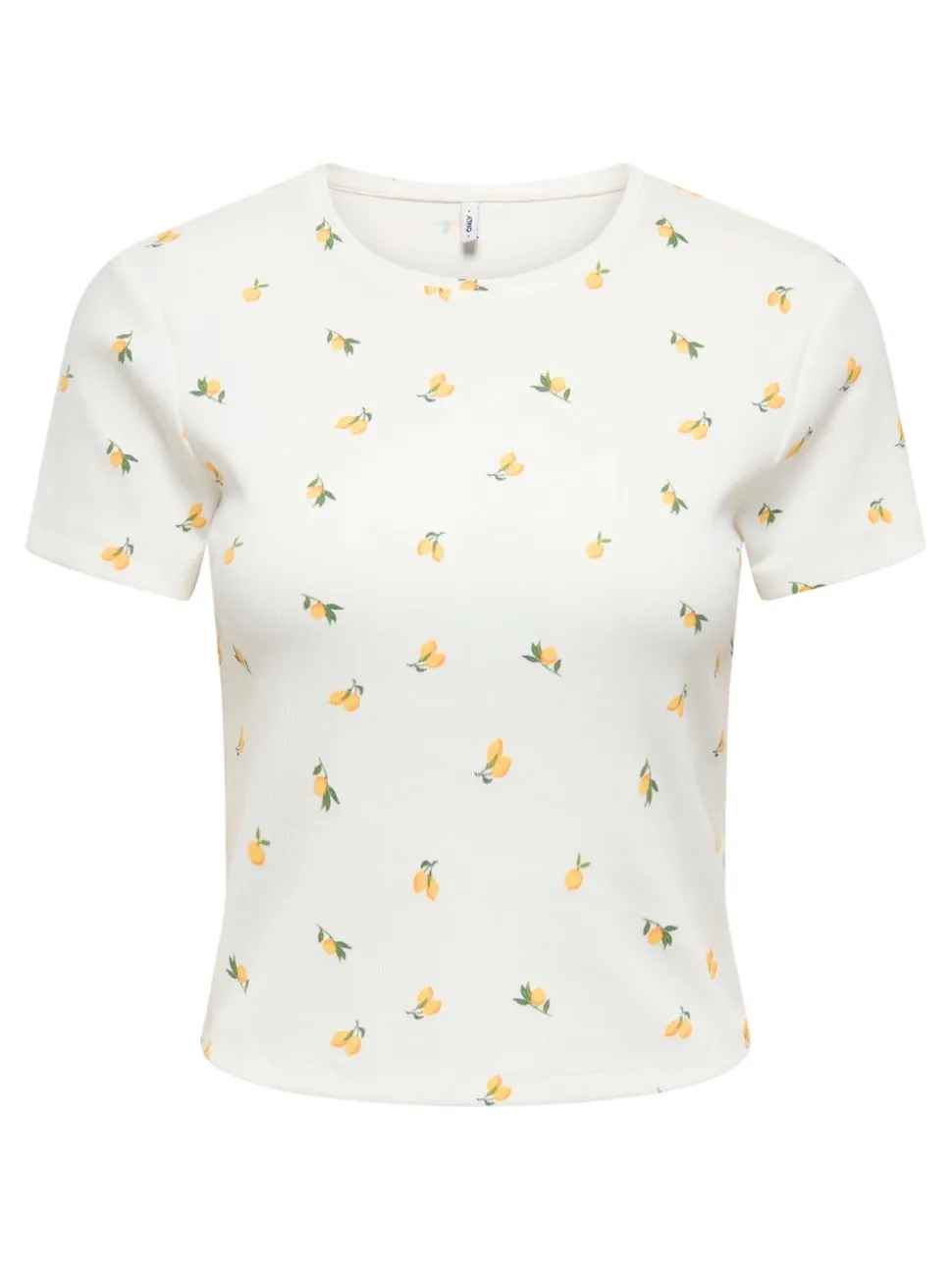 ONLFENJA T-shirt
