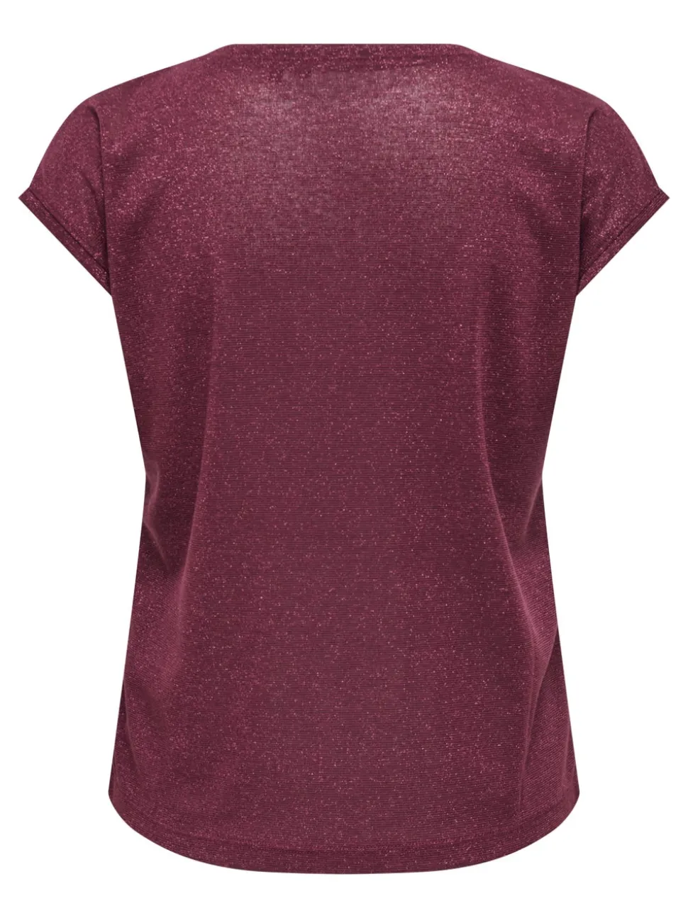 ONLSILVERY Top