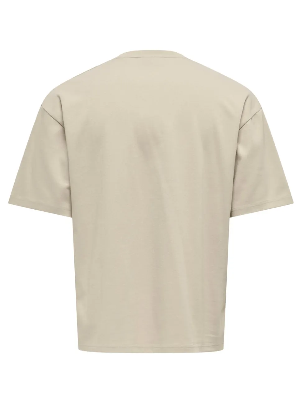 ONSCASPIAN T-shirt