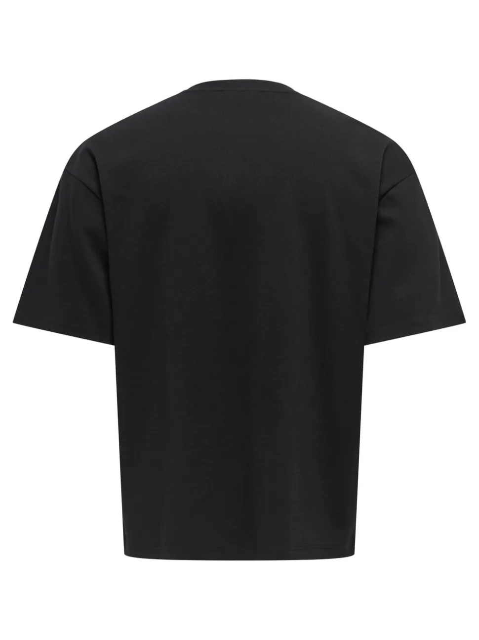 ONSCASPIAN T-shirt