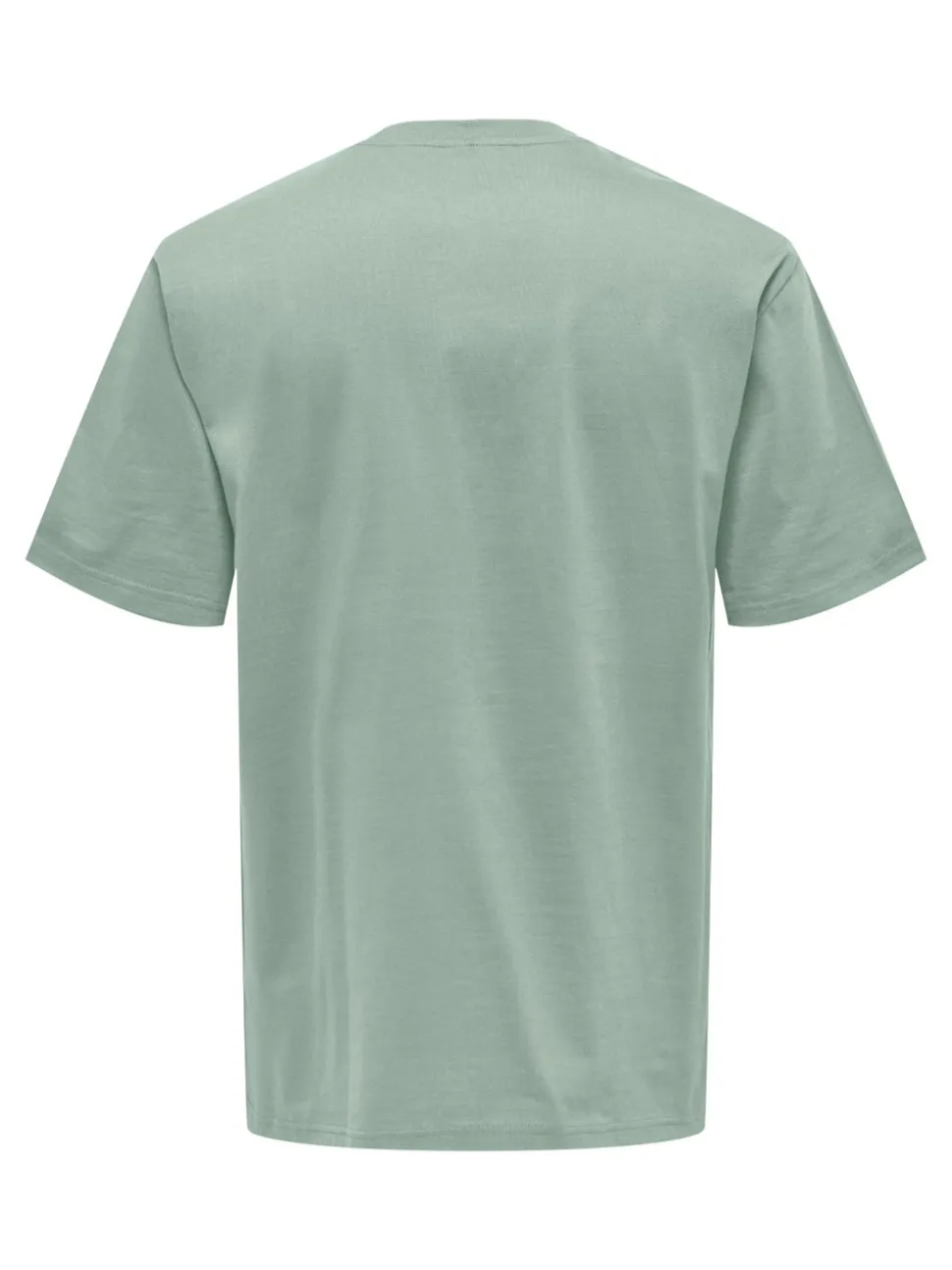ONSFRED T-shirt